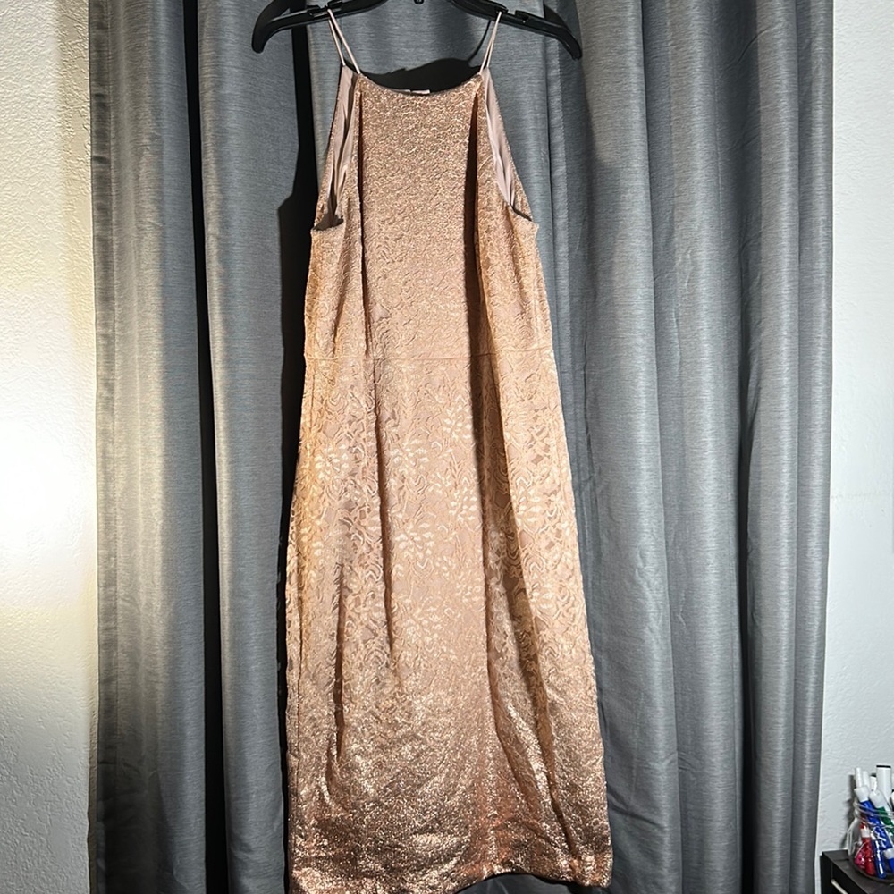 Adrianna Papell Rose Gold / Glittered Lace Dress